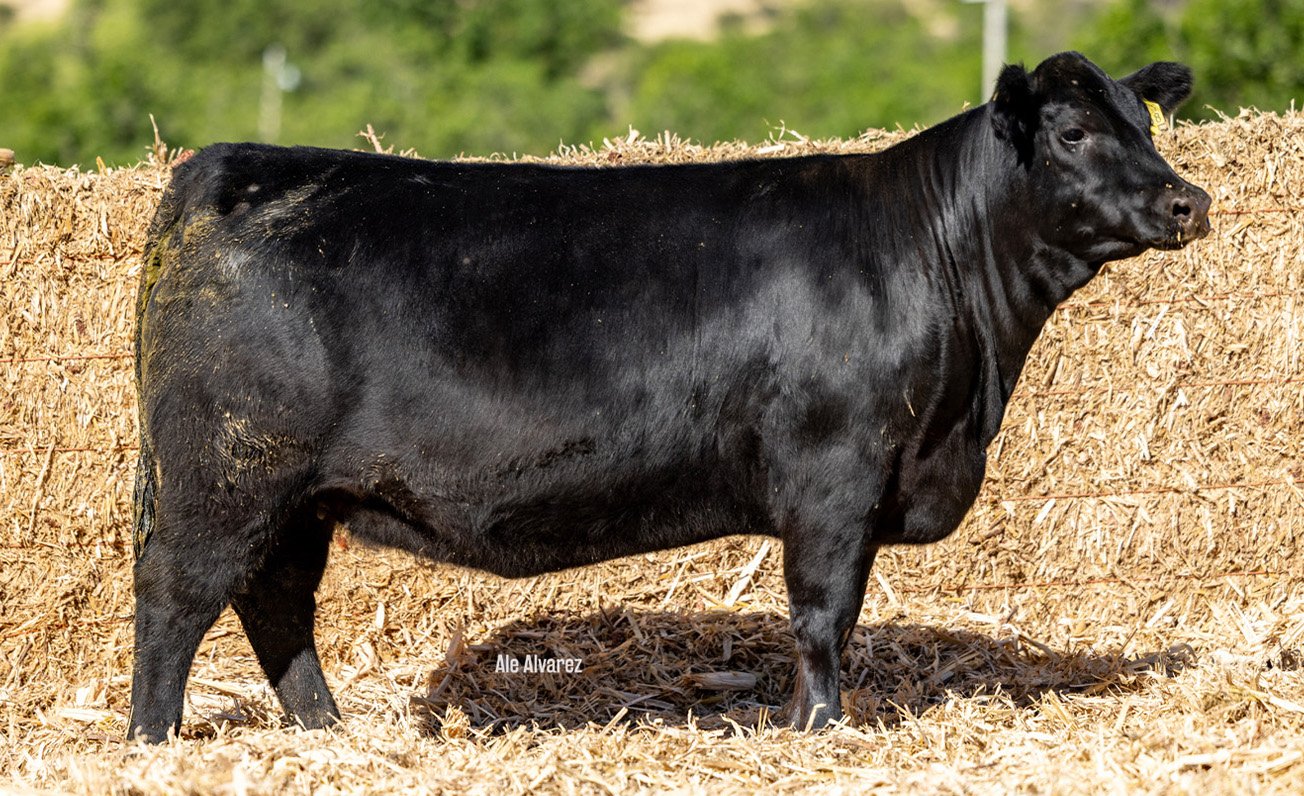 Lote 18 M056 6-25