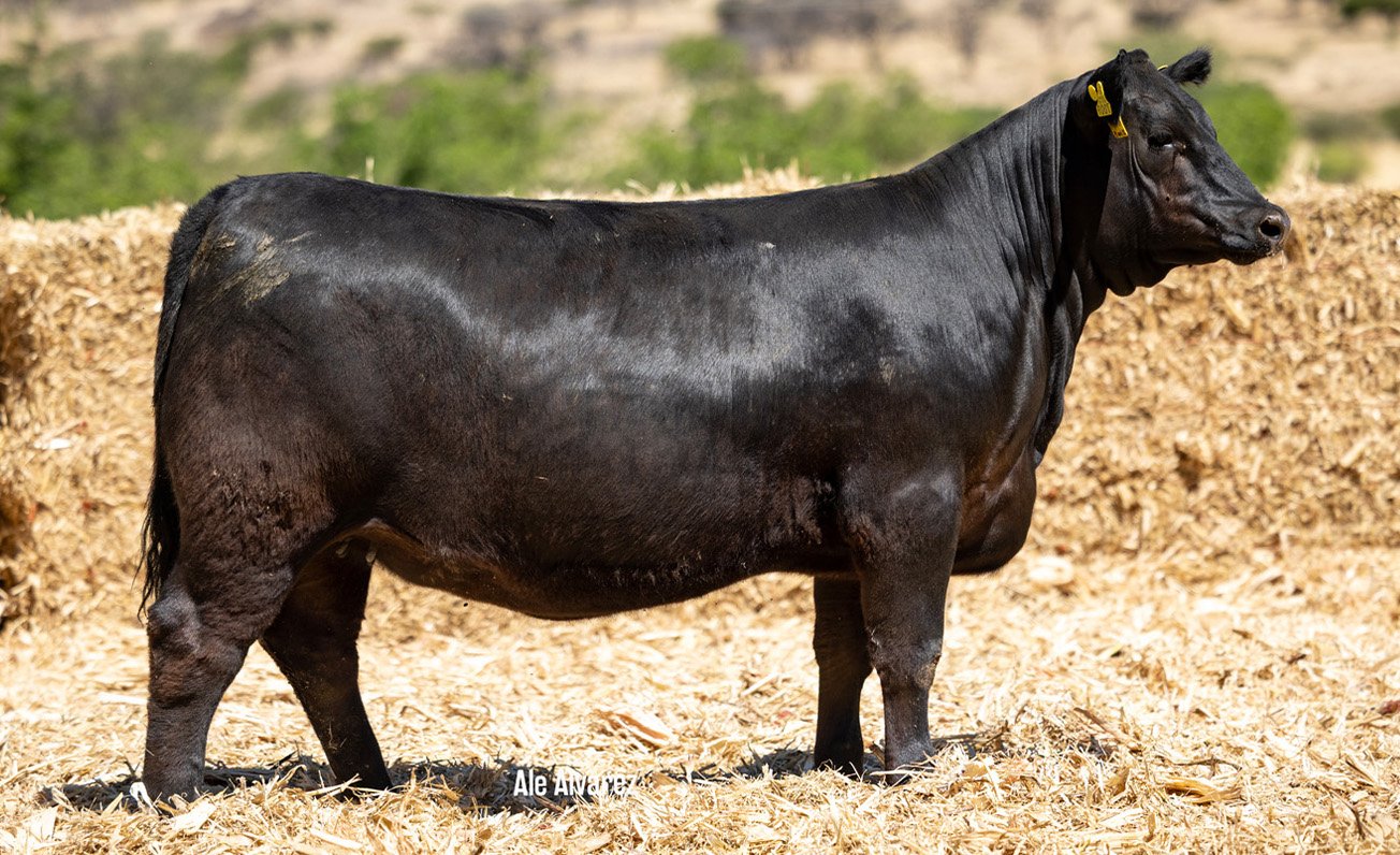 Lote 21 M078 6-25