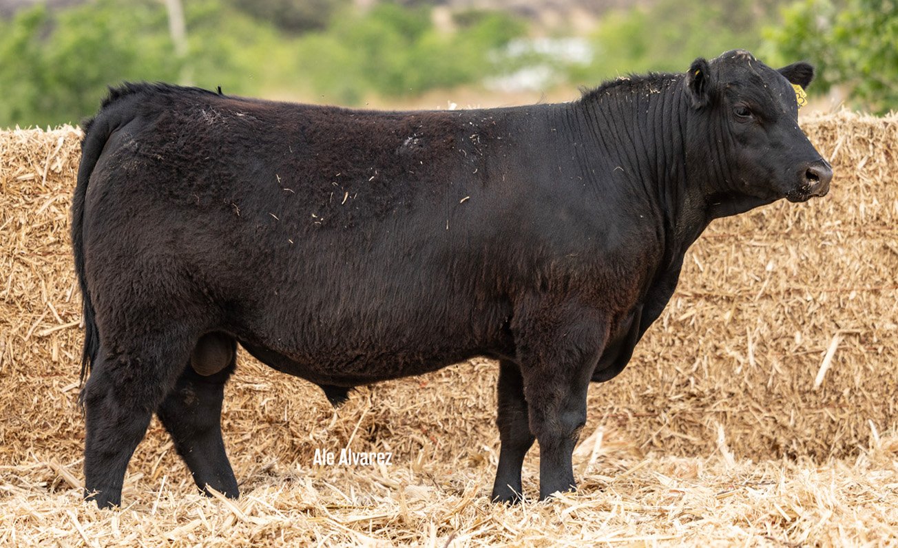 Lote 32 M073 6-25