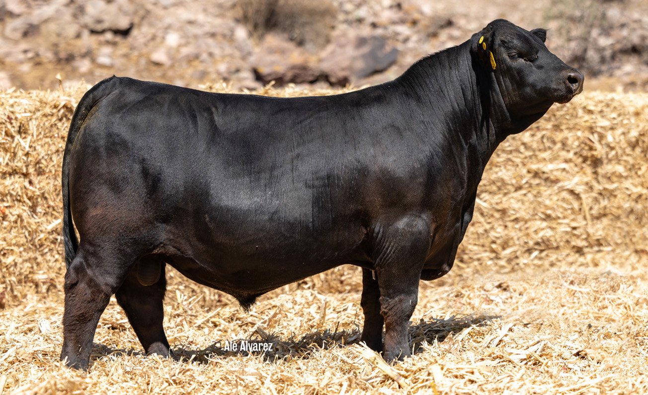 Lote 38 M059 6-25
