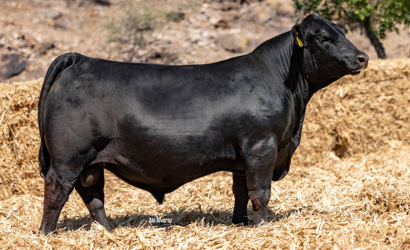 Lote 42 M023 6-25