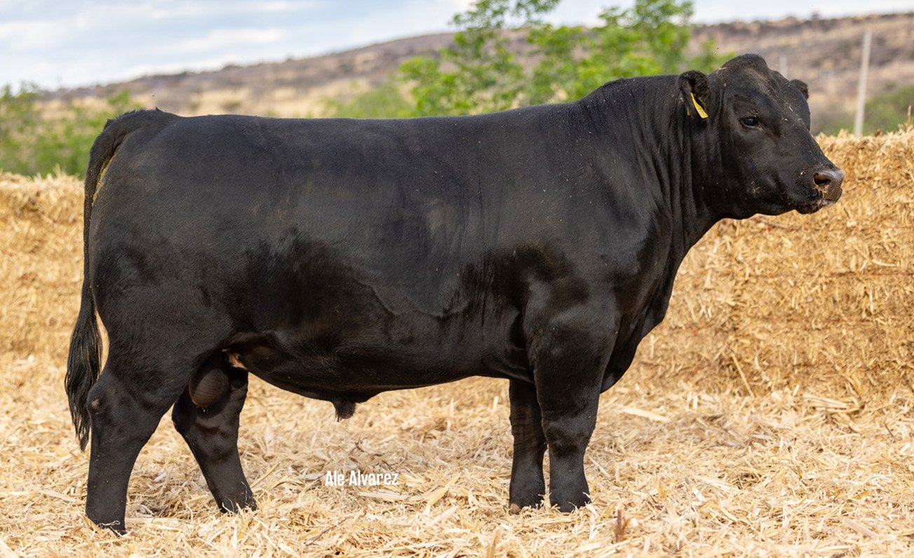 Lote 46 M021 6-25